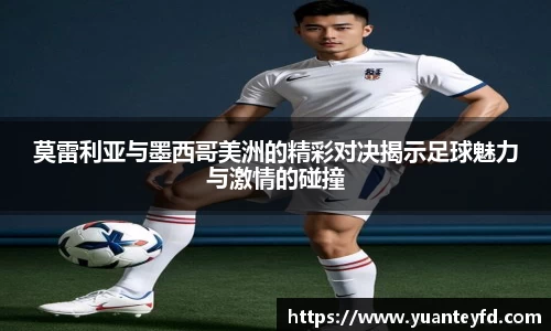 BB贝博艾弗森体育